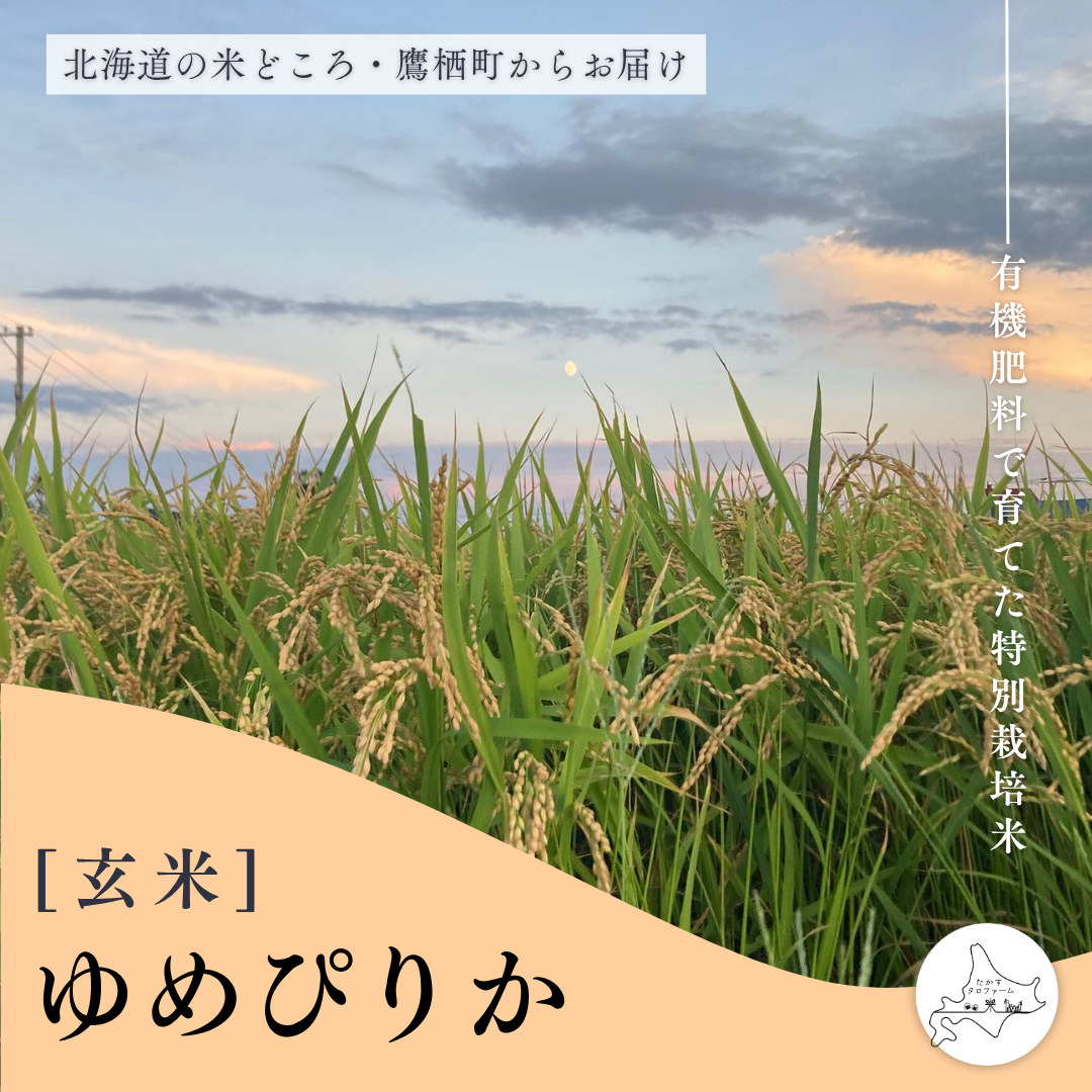 玄米]ゆめぴりか – たかすタロファーム