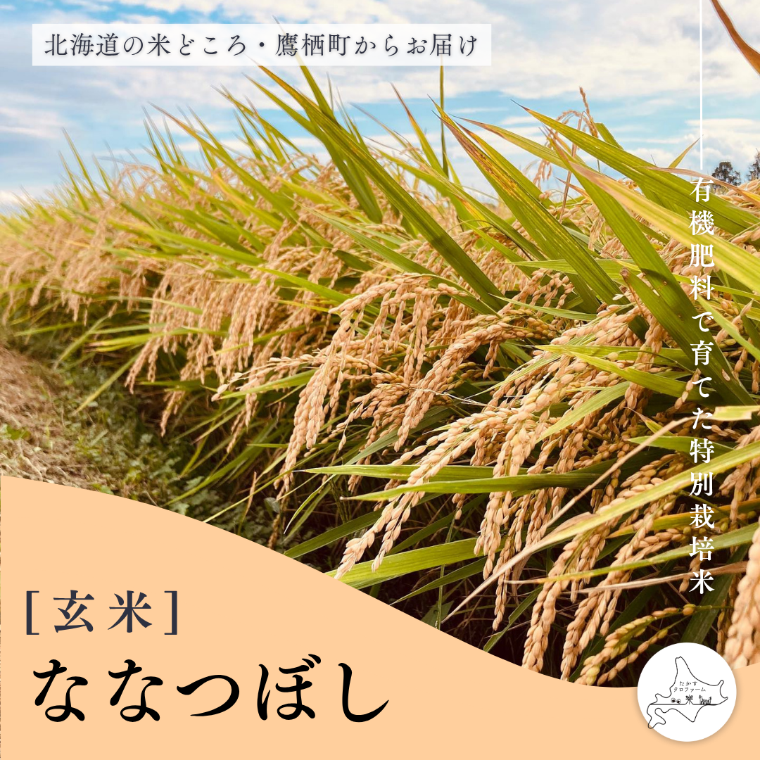 玄米]ななつぼし – たかすタロファーム