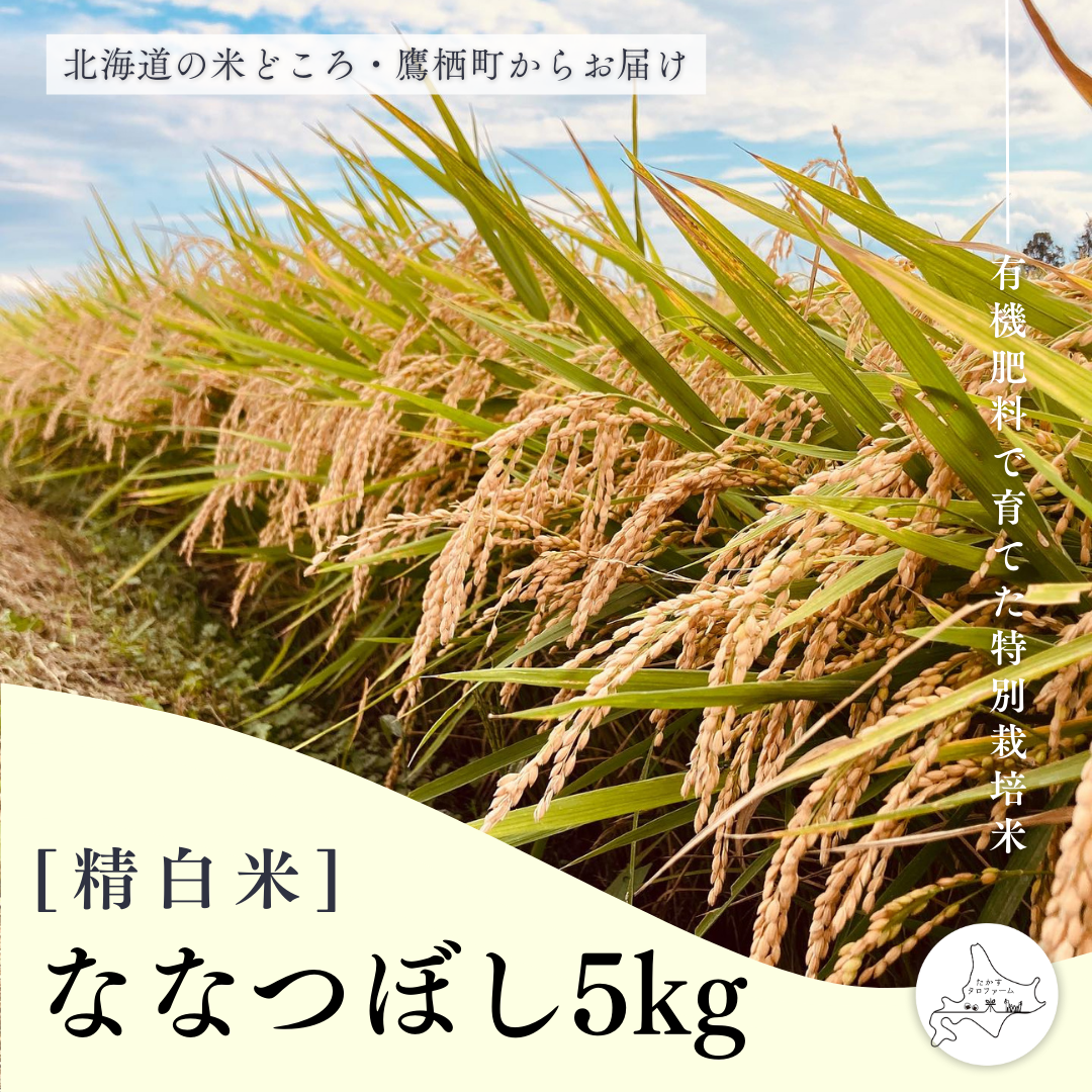 【白米】特別栽培米ななつぼし5㎏